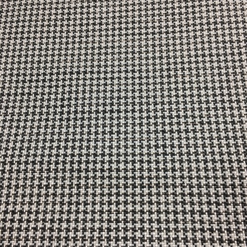 Black white dog - black, tooth